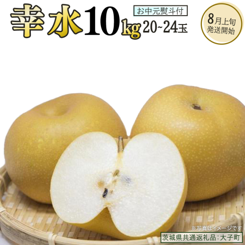 【 お中元 熨斗付き 】 幸水 約10kg (20～24玉)【2026年8月上旬発送開始】(茨城県共通返礼品：大子町) 梨 なし 果物 くだもの フルーツ 2492327 - 茨城県牛久市