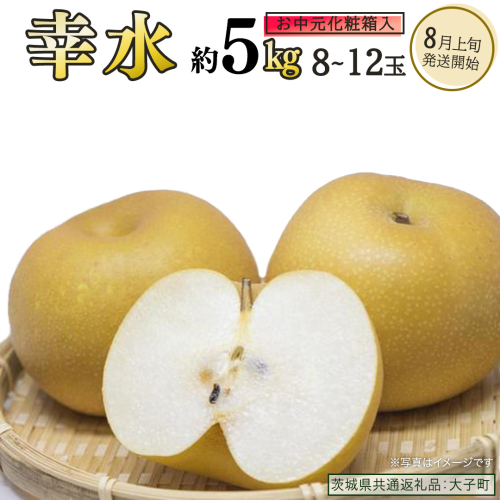 【 お中元 化粧箱入り】 幸水 約5kg (8～12玉)【2026年8月上旬発送開始】(茨城県共通返礼品：大子町) 梨 なし 果物 くだもの フルーツ 2492329 - 茨城県牛久市