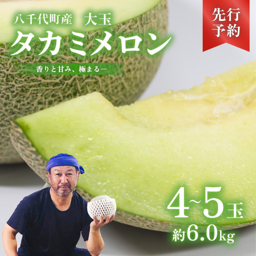 【 先行予約 2026年6月上旬以降発送】 令和8年産 八千代町産 タカミメロン 秀品 4-5玉 約6kg 期間限定 産地直送 果物 フルーツ メロン 甘い 人気 タカミ 貴味 [AX063ya] 2492331 - 茨城県八千代町