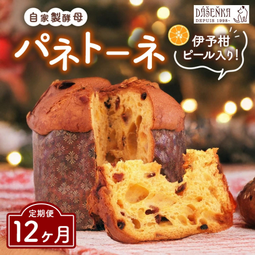 【12ヶ月定期便】自家製酵母使用のパネトーネ！！ 1個入り ｜ お菓子 おやつ 2492422 - 愛知県幸田町