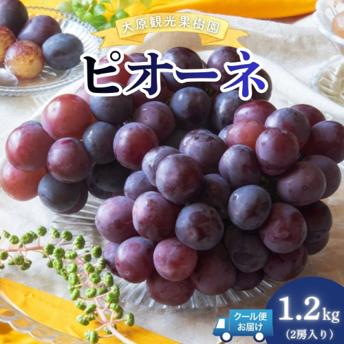 【2026年先行予約】［大原観光果樹園］ピオーネ 2房（約1.2kg）【026-a012】 2492524 - 岡山県鏡野町