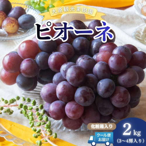 【2026年先行予約】［大原観光果樹園］ピオーネ 3～4房（約2kg）化粧箱入り【026-a013】 2492540 - 岡山県鏡野町