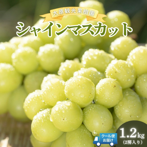 【2026年先行予約】［大原観光果樹園］シャインマスカット 2房（約1.2kg）【026-a014】 2492542 - 岡山県鏡野町