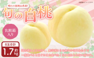岡山県産 旬の白桃 8玉 （計1.7kg以上）【2026年7月上旬～8月上旬迄発送予定】 化粧箱入り 果物 くだもの フルーツ 桃 もも モモ 白桃 旬 岡山 おかやま 国産 冷蔵