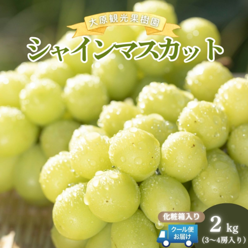 【2026年先行予約】［大原観光果樹園］シャインマスカット 3～4房（約2kg）化粧箱入り【026-a015】 2492597 - 岡山県鏡野町