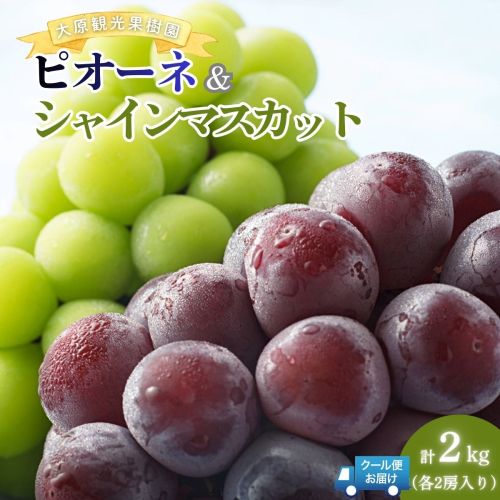 【2026年先行予約】［大原観光果樹園］ピオーネ2房とシャインマスカット2房（計4房 約2kg）【026-a018】 2492599 - 岡山県鏡野町