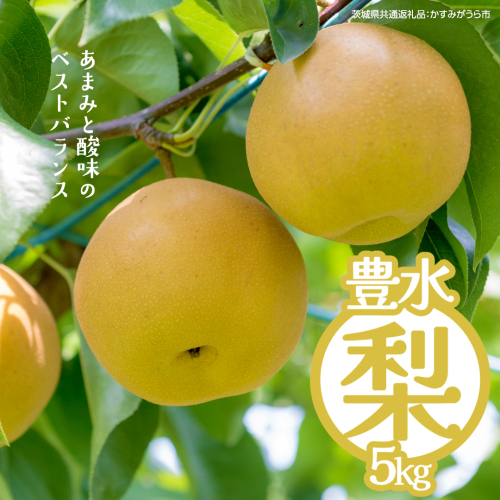 豊水 約5kg（茨城県共通返礼品：かすみがうら市） 【2026年9月上旬発送開始】 梨 数量限定 なし ナシ フルーツ 果物 旬 産地直送 [FF004sa]	 2492608 - 茨城県桜川市
