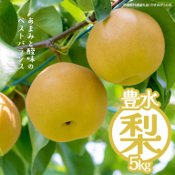 豊水 約5kg（茨城県共通返礼品：かすみがうら市） 【2026年9月上旬発送開始】 梨 数量限定 なし ナシ フルーツ 果物 旬 産地直送 [FF004sa]