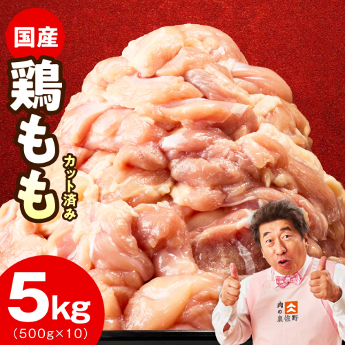 【特別規格】国産 鶏もも肉 切身 5kg 【カット済み 氷温熟成×極味付け 小分け 味付き 簡単調理 訳あり サイズ不揃い 鶏肉 とり 圧倒的企業努力】 mrz0390 2492616 - 大阪府泉佐野市