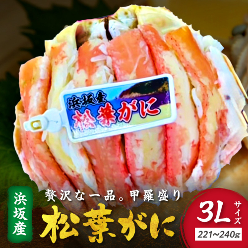松葉ガニ甲羅盛3Lサイズ 1個 カニ 松葉蟹 ズワイガニ 甲羅盛 ふるさと納税 カニ 2492622 - 京都府京丹後市