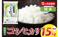 【12ヶ月定期便】茨城県産コシヒカリ　精米　15kg｜精米 定期便 お米 米 こめ コメ ごはん 白米 阿見町 茨城県 茨城県産 茨城県産米 安心 安全 送料無料 国産 人気 数量限定 高評価（85-171）