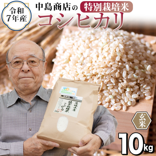 令和7年産 茨城県産 玄米 特別栽培米 コシヒカリ 10kg （5kg×2袋） こしひかり 米 コメ こめ 単一米 限定 茨城県産 国産 美味しい お米 おこめ おコメ[EH36-NT] 2492778 - 茨城県つくばみらい市