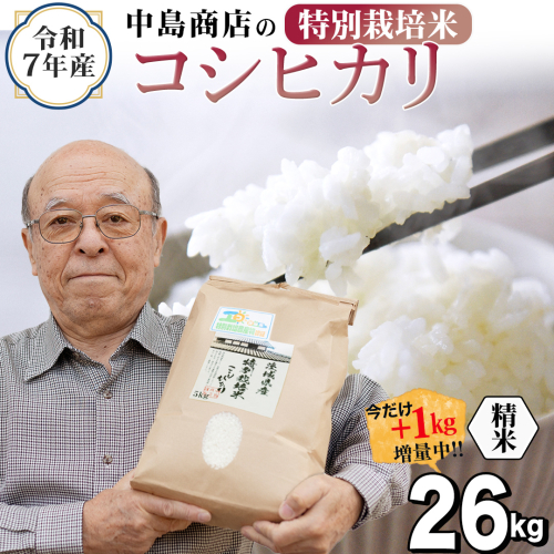 【1kg増量中】 令和7年産 茨城県産 精米 特別栽培米 コシヒカリ 26kg （26kg×1袋） 通常25kgのところ1kg増量中！ 白米 こしひかり 米 コメ こめ 単一米 限定 茨城県産 国産 美味しい お米 おこめ おコメ [EH34-NT] 2492779 - 茨城県つくばみらい市
