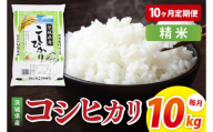 【10ヶ月定期便】茨城県産コシヒカリ　精米　10kg｜精米 定期便 お米 米 こめ コメ ごはん 白米 阿見町 茨城県 茨城県産 茨城県産米 安心 安全 送料無料 国産 人気 数量限定 高評価（85-157）