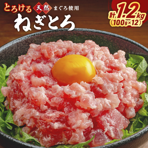 とろけるネギトロ (まぐろたたき) 100g×12P LZ007 2493325 - 福岡県篠栗町