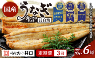 【定期便3回】国産うなぎ長白焼（100～119g）6尾セット ITI優秀味覚賞受賞 たれ・山椒・お吸物付き ウナギ 鰻 静岡 浜松市 【配送不可：離島】