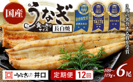 【定期便12回】国産うなぎ長白焼（100～119g）6尾セット ITI優秀味覚賞受賞 たれ・山椒・お吸物付き ウナギ 鰻 静岡 浜松市 【配送不可：離島】