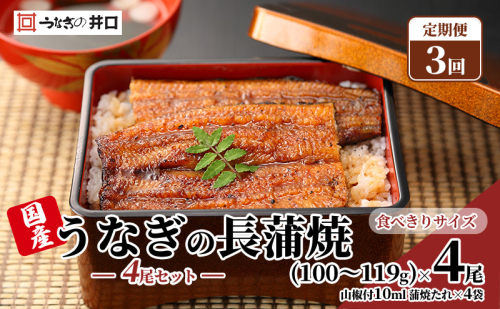 【定期便３回】国産うなぎ長蒲焼（100～119g）4尾セット ITI優秀味覚賞受賞 たれ・山椒付き ウナギ 鰻 静岡 浜松市 【配送不可：離島】 2493393 - 静岡県浜松市
