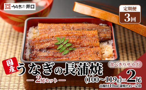 【定期便３回】国産うなぎ長蒲焼（100～119g）2尾セット ITI優秀味覚賞受賞 たれ・山椒付き ウナギ 鰻 静岡 浜松市 【配送不可：離島】 2493394 - 静岡県浜松市