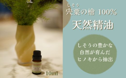 BK2　宍粟の檜～天然精油～　【 天然 アロマ 精油 オイル ひのき ヒノキ 檜 癒し ヒーリング 森 樹木 自然 消臭 虫よけ 】 2493460 - 兵庫県宍粟市