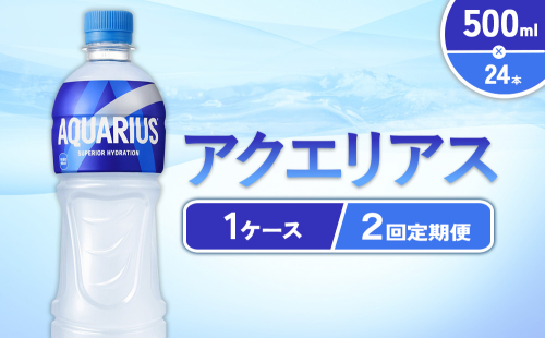 【2回定期便】アクエリアス 500ml PET × 24本 1ケース 毎月 2回 AQUARIUS スポーツドリンク スポーツ飲料 ペットボトル 熱中症対策 水分補給 コカ・コーラ Coca-Cola 運動 送料無料 2493611 - 宮崎県えびの市