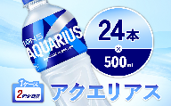 【2回定期便】アクエリアス 500ml PET × 24本 1ケース 毎月 2回 AQUARIUS スポーツドリンク スポーツ飲料 ペットボトル 熱中症対策 水分補給 コカ・コーラ Coca-Cola 運動 送料無料