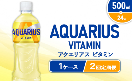 【2回定期便】 アクエリアス ビタミン PET (500ml×24本)×1ケース コカ・コーラ Coca-Cola AQUARIUS 水分補給 熱中症対策 部活 運動 2493658 - 宮崎県えびの市