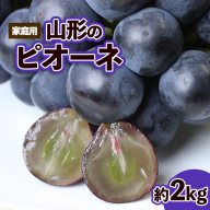 【ご家庭用】山形のピオーネ 優品 約2kg(2～6房)[10月お届け] 【令和8年産先行予約】FS23-646 くだもの 果物 フルーツ 山形 山形県 山形市 2026年産