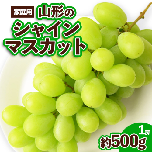 【ご家庭用】山形のシャインマスカット 優品 1房 約500g[9月中旬～10月中旬お届け] 【令和8年産先行予約】FS23-648 くだもの 果物 フルーツ 山形 山形県 山形市 2026年産 2493715 - 山形県山形市