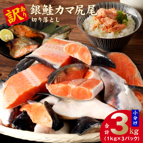 【訳あり】規格外 銀鮭 切り落とし 3kg【カマ 尻尾 小分け 1kg×3P 海鮮 魚介 鮭 さけ しゃけ 部位不揃い 圧倒的企業努力】 kgp0110-1 2493716 - 大阪府泉佐野市