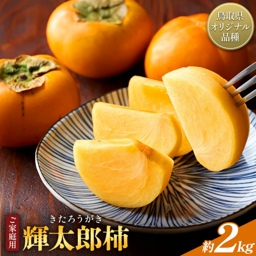 柿 輝太郎柿 ご家庭用 約2kg 鳥取県オリジナル品種 Tottori食のまごころ農園《10月上旬-10月末頃出荷》鳥取県 八頭町 柿 かき カキ 輝太郎柿 きたろうがき 甘柿 果物 フルーツ 秋 旬 送料無料 訳あり 2493860 - 鳥取県八頭町