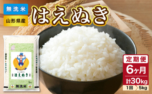 《6ヶ月定期便》山形県産 無洗米 令和7年産 はえぬき 5kg×6ヶ月(計30kg)【山形県産 BG精米製法】 036-T03 2493909 - 山形県大江町