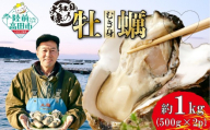 【4月後半発送】大和田家の牡蠣 三陸産 『むき身牡蠣』 約1kg(500g×2袋) 加熱用 【 かき カキ 牡蠣 三陸 リアス式海岸 良港 広田湾 濃厚 むき身 】RT3322