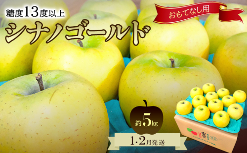 りんご【1月・2月発送】糖度13度以上 おもてなし用 家庭用 シナノゴールド 約5kg【青森りんご  果物 フルーツ デザート 食後 青森県産 産地直送 贈り物】 2494284 - 青森県鶴田町