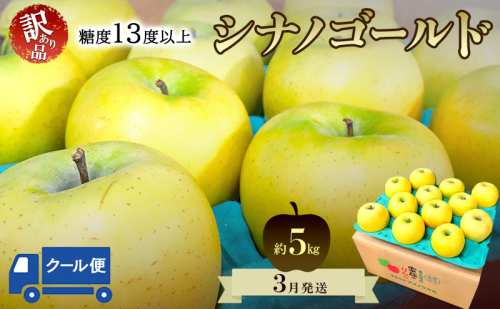 りんご【3月クール便発送】平均糖度13度以上 訳あり品 家庭用 シナノゴールド 約5kg【青森りんご 果物 フルーツ デザート 食後 青森県産 産地直送 贈り物】 2494287 - 青森県鶴田町