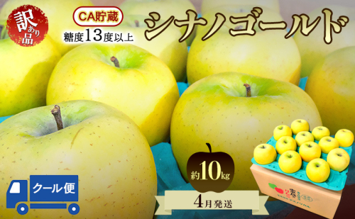 りんご【4月クール便発送】糖度13度以上 訳あり品 家庭用 CA貯蔵 シナノゴールド約10kg【青森りんご 果物 フルーツ デザート 食後 青森県産 産地直送 贈り物】 2494291 - 青森県鶴田町