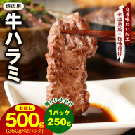 [お試し]牛肉 ハラミ 500g(250g×2P)[氷温熟成×極味付け]
