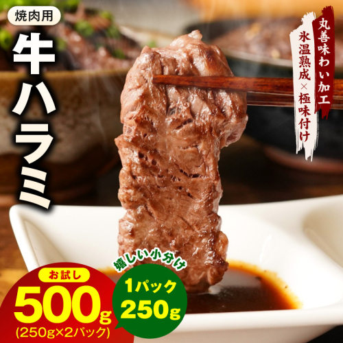 【お試し】牛肉 ハラミ 500g（250g×2P）【氷温熟成×極味付け】 mrz0386 2494789 - 大阪府泉佐野市