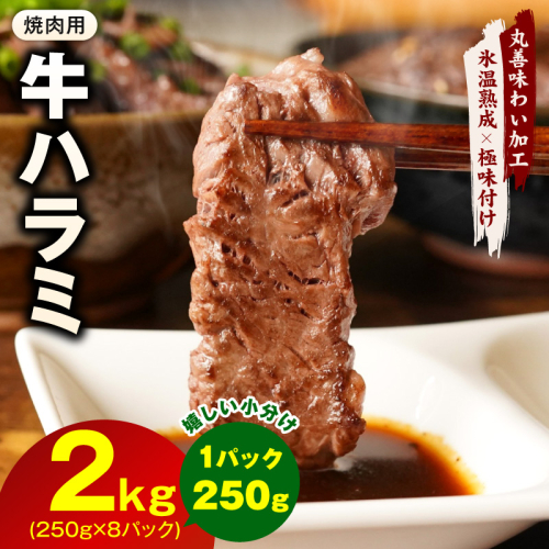 【氷温熟成×極味付け】牛肉 ハラミ 2kg（250g×8P） mrz0387 2494790 - 大阪府泉佐野市