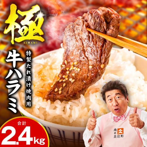 【氷温熟成×特製ダレ】牛肉 ハラミ 2.4kg（300g×8P） mrz0389 2494792 - 大阪府泉佐野市