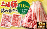 【12回定期便】 特盛三浦豚 1.6kg 豚肉セット / バラ ウデ モモ 国産 ポーク 大容量 / 恵那市 / あづま精肉店 [AUDL008]