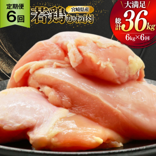 鶏肉 定期便 むね肉 若鶏 鶏むね肉 6kg 6回 総計36kg [ミヤケイフード 宮崎県 美郷町 31bp0019] 鶏むね 鶏胸 むね 冷凍 小分け 2494978 - 宮崎県美郷町