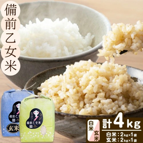 米 こめ コメ 備前乙女米 白米 玄米 計4kg 石原果樹園《30日以内に出荷予定（土日祝除く）》岡山県 浅口市 ご飯 お米 国産 岡山県産 送料無料 2495021 - 岡山県浅口市