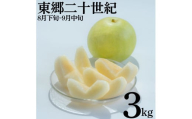 5MS.【2026年先行受付】東郷二十世紀3kg