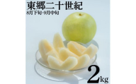 6MS.【2026年先行受付】東郷二十世紀2kg