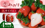 【先行予約】いちご 2Lサイズ以上限定 シャインファーム 恋みのり 1kg以上＜2027年2月発送＞ 長崎県/吉岡青果 [42ACAF025]