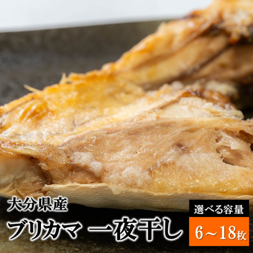【選べる容量】大分県産ブリカマ 一夜干し_2661R 2495470 - 大分県国東市