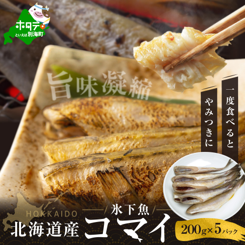 北海道産干しこまい【200g×5パック】 2497117 - 北海道別海町