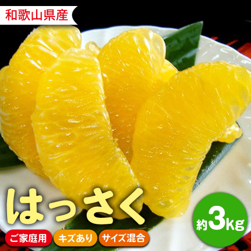和歌山県 由良町産 はっさく 約3kg  ご家庭用 キズあり サイズ混合 2497155 - 和歌山県美浜町