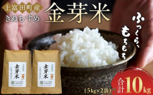 令和7年産  上富田町産 金芽米 きぬむすめ 10kg （ 5kg × 2 ) 井戸本農園 2497520 - 和歌山県上富田町